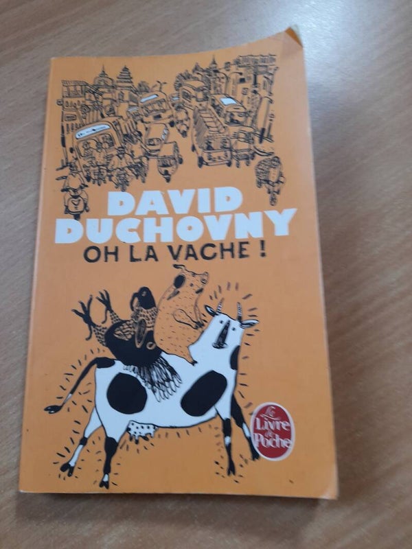 Oh la vache - David Duchovny - Le livre de poche - 2017