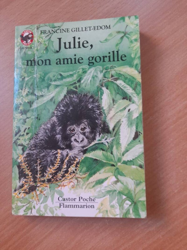 Julie, mon amie gorille - Francine Gillet-Edom - Castor poche Flammarion - 1994