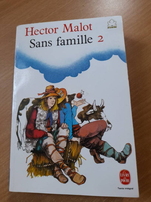 Sans Famille T2 - Hector Malot - Le livre de poche- 1990