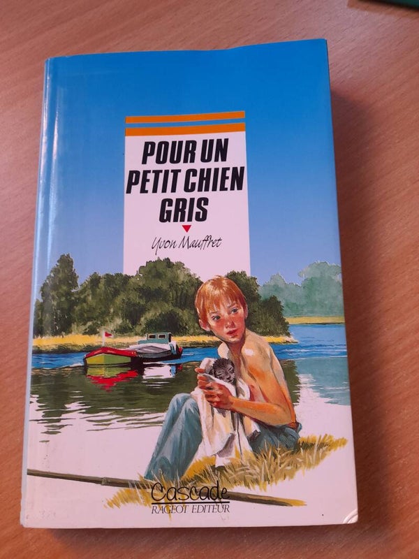 Pour un petit chien gris - Yvon Mauffret - Ragot éditeur cascade - 1997