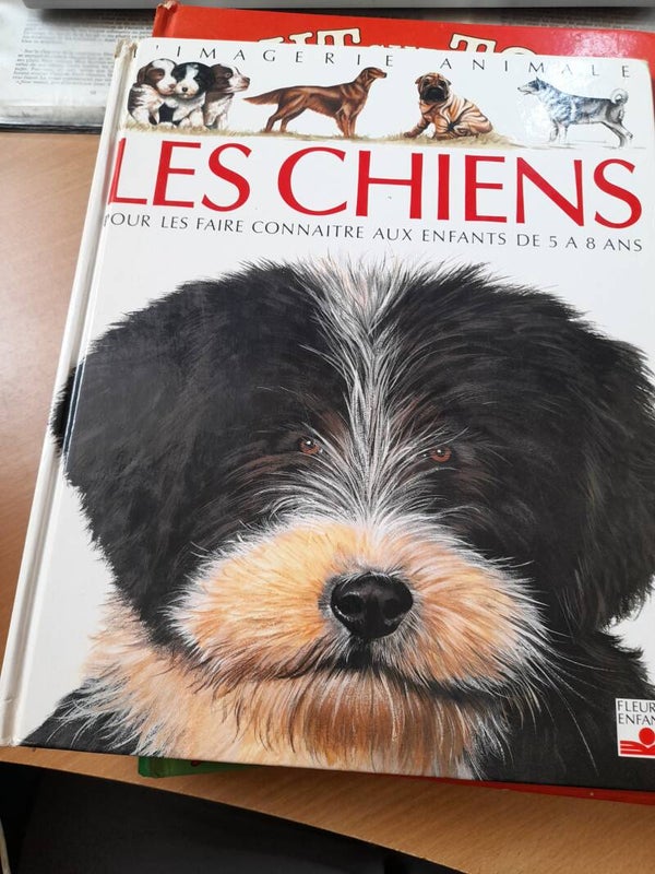 L'imagerie animale : Les chiens - Fleurus - 1992