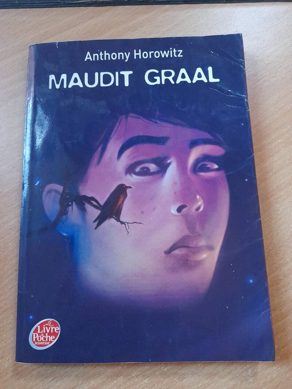 Maudit Graal - Anthony Horowitz - Le livre de poche - 2011