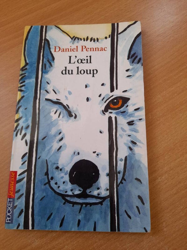 L'oeil du loup - Daniel Pennac -Pocket jeunesse - 2001