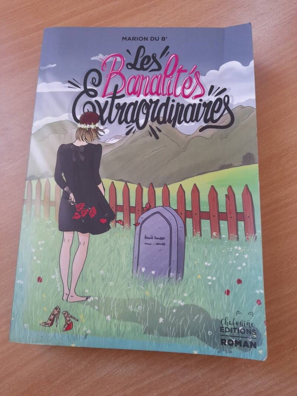 Les banalités extraordinaires - Marion du B - Chafouine éditions - 2020