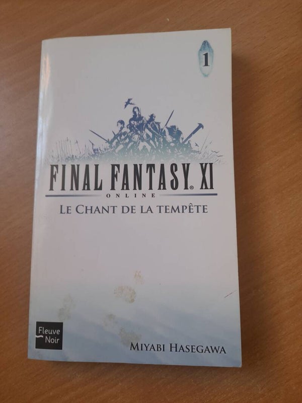 Final fantasy XI T1 : online le chant de la tempête - Miyabi Hasegawa - Fleuve noir  2007-