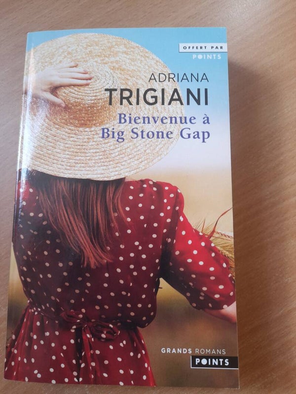 Bienvenue à Big Stone Gap - Adriana Trigiani - Points -2020