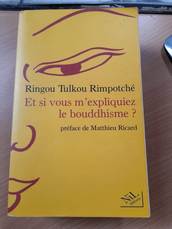 Et si vous m'expliquiez le bouddhisme ? - Ringou Tulkou Rimpotché - Nil éditions - 2001 tibet