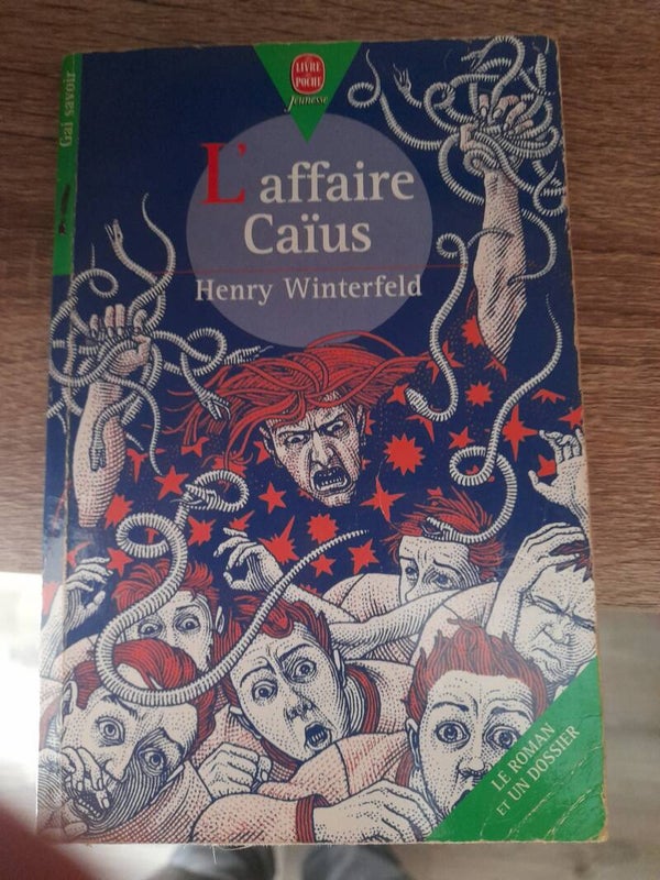 L'affaire Caïus - Henry Winterfeld - livre de poche jeunesse - 2000 10 ans et +