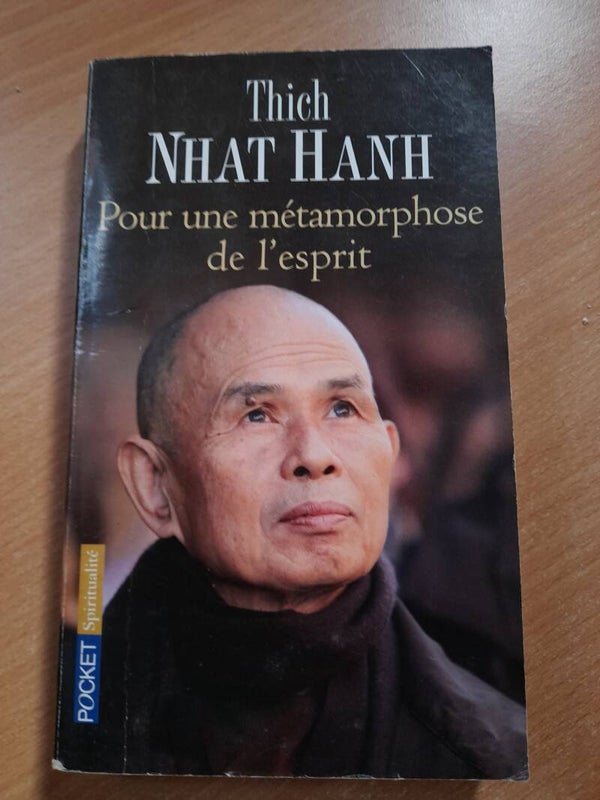 Pour une métamorphose de l'esprit - Thich Nhat Hanh - Pocket - 2008