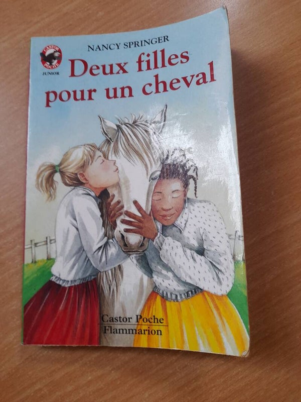 Deux filles pour un cheval - Nancy Springer - Castor poche flammarion -  1999 9/10 ans