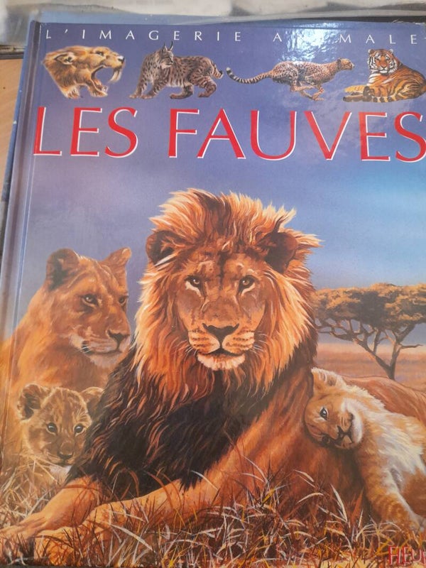 L'imagerie animale : Les fauves - Fleurus - 2003