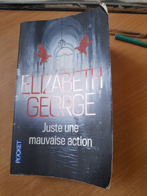 Juste une mauvaise action - elizabeth George - Pocket- 2016