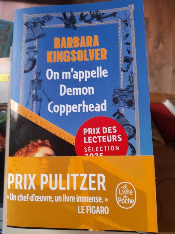 On m'appelle Demon Copperhead - Barbara Kingsolver - Le livre de poche - 2025