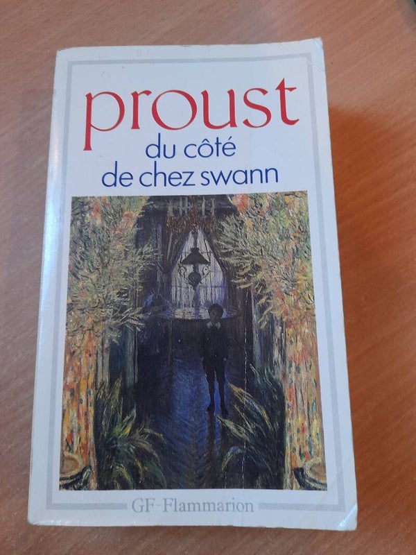 Du côté de chez Swann - Marcel Proust - GF Flammarion - 1987