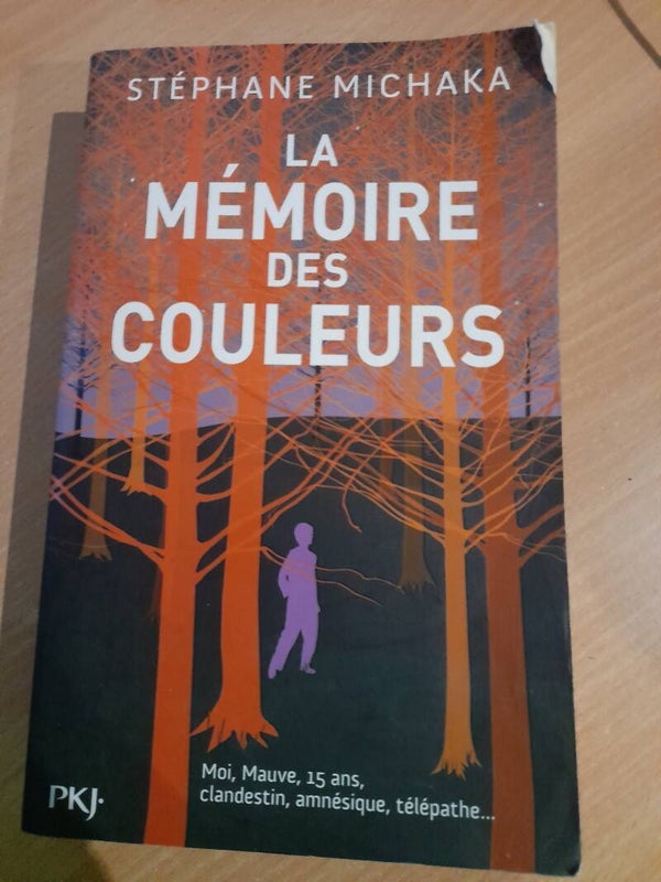 La mémoire des couleurs - Stephane Michaka - PKJ  -2018