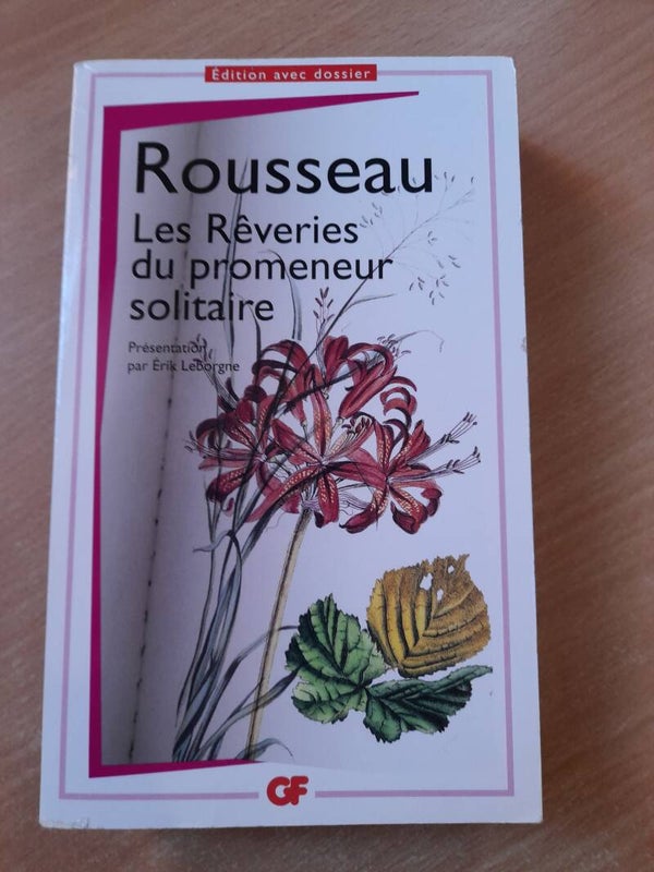 Les rêveries du promeneur solitaire - Jean-jacques Rousseau - GF Flammarion-2012