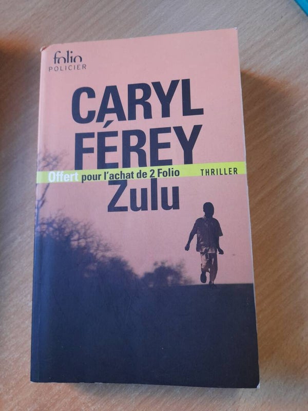 Zulu - Caryl Férey - Folio policier - 2017