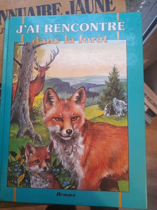 dans la forêt - J'ai rencontre - Hemma