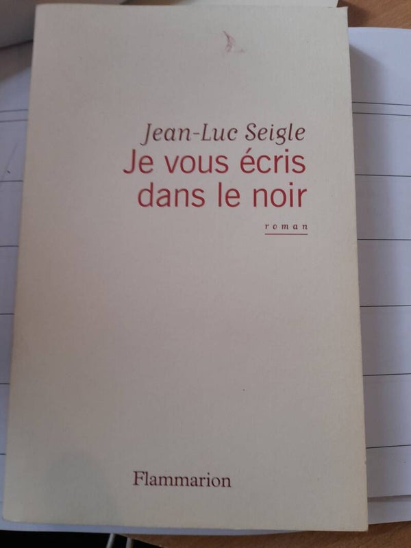 Je vous écrit dans le noir Jean-luc Seigle - Flammarion - 2015