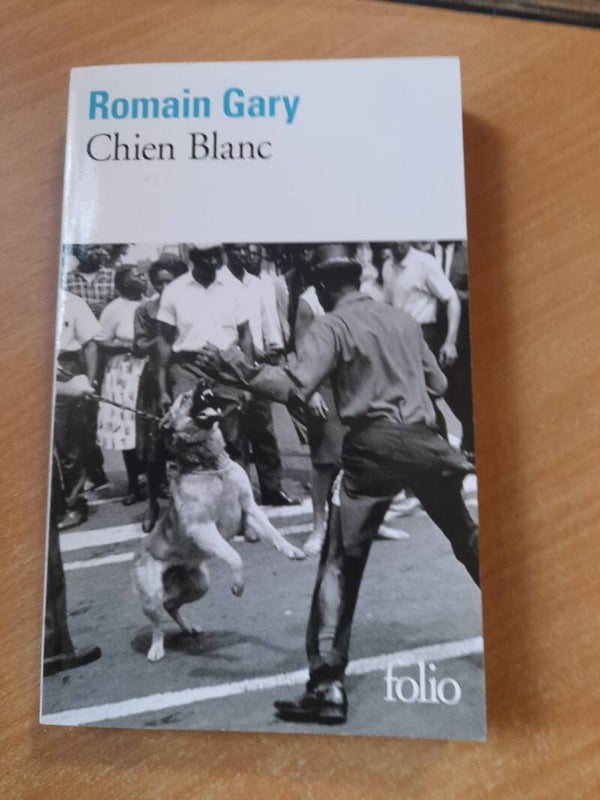 Chien blanc  -Romain Gary- folio - 2024