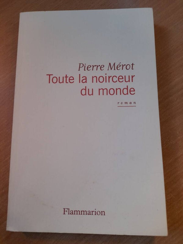 Toute la noirceur du monde - Pierre Mérot - Flammarion - 2013