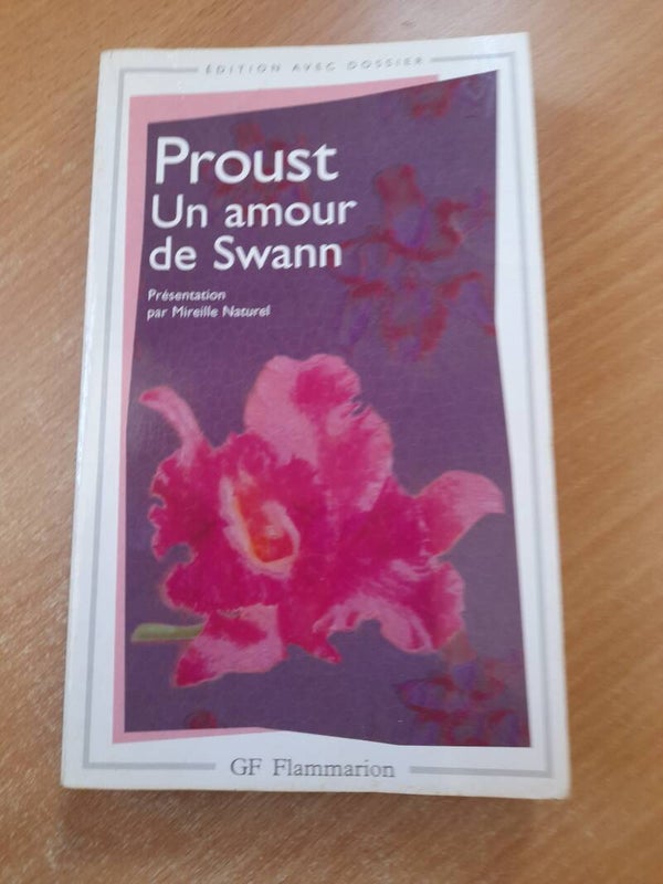 Un amour de Swann - Marcel Proust - GF Flammarion -20022
