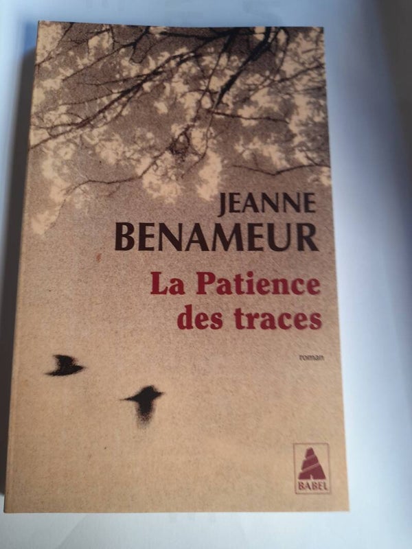 La patience des traces - Jeanne Benameur - Babel - 2024