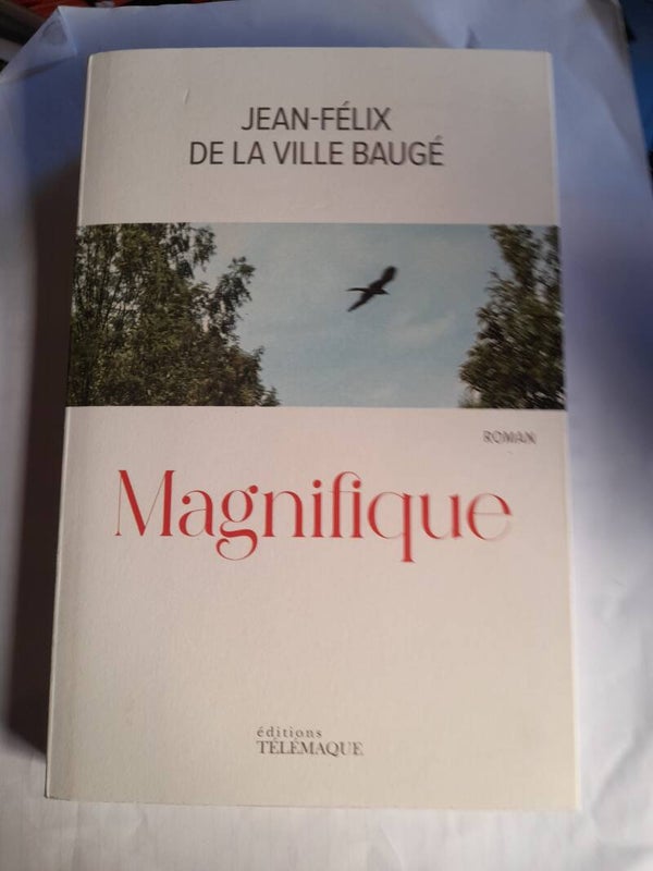 Magnifique - Jean-félix de la Ville Baugé - Télémaque - 2023
