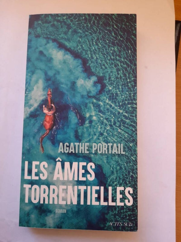 Les âmes torrentielles - Agathe Portail - Actes sud -2023
