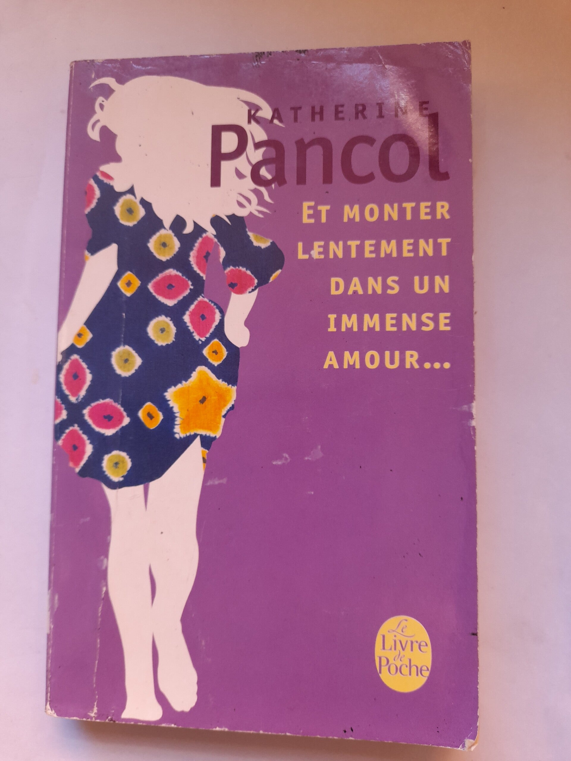 Et monter lentement dans un immense amour.. - Katherine Pancol - Le livre de poche  -2013