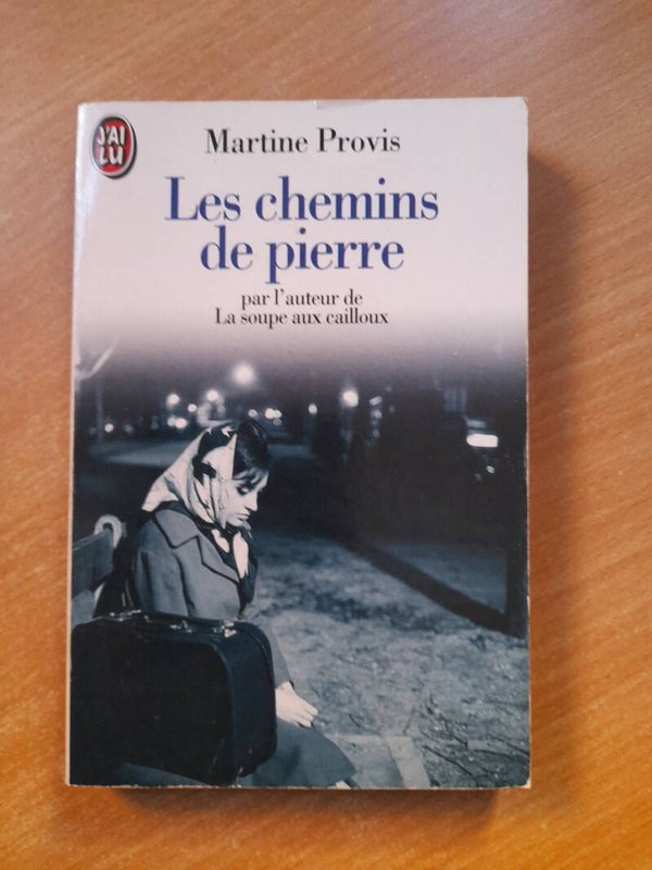 Les chemins de pierre - Martine Provis - J'ai lu -1995