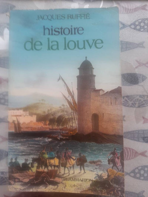 histoire de la louve - Jacques Ruffiè - Flammarion -  1981