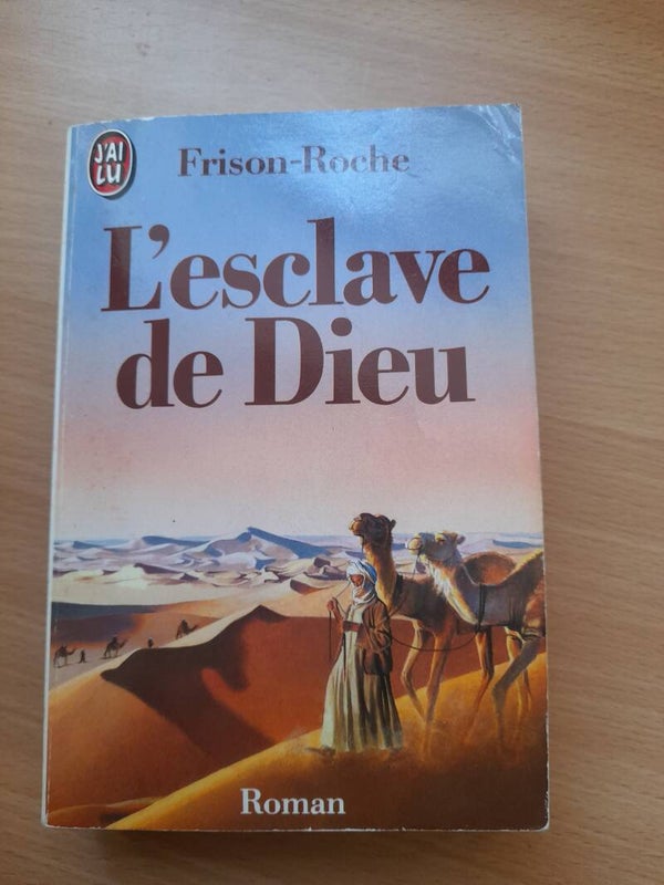 L'esclave de Dieu - Frison-Roche - j'ai lu- 1990