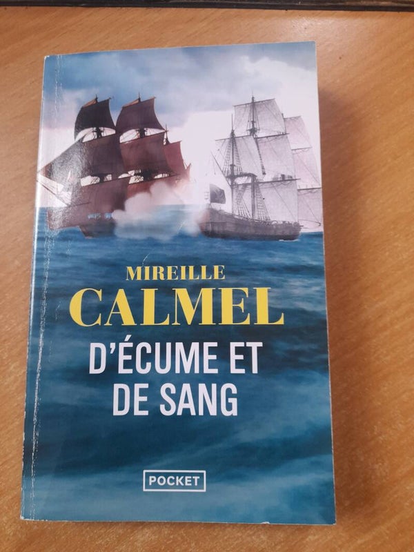 D'écume et de sang - Mireille Calmel - Pocket -  2023