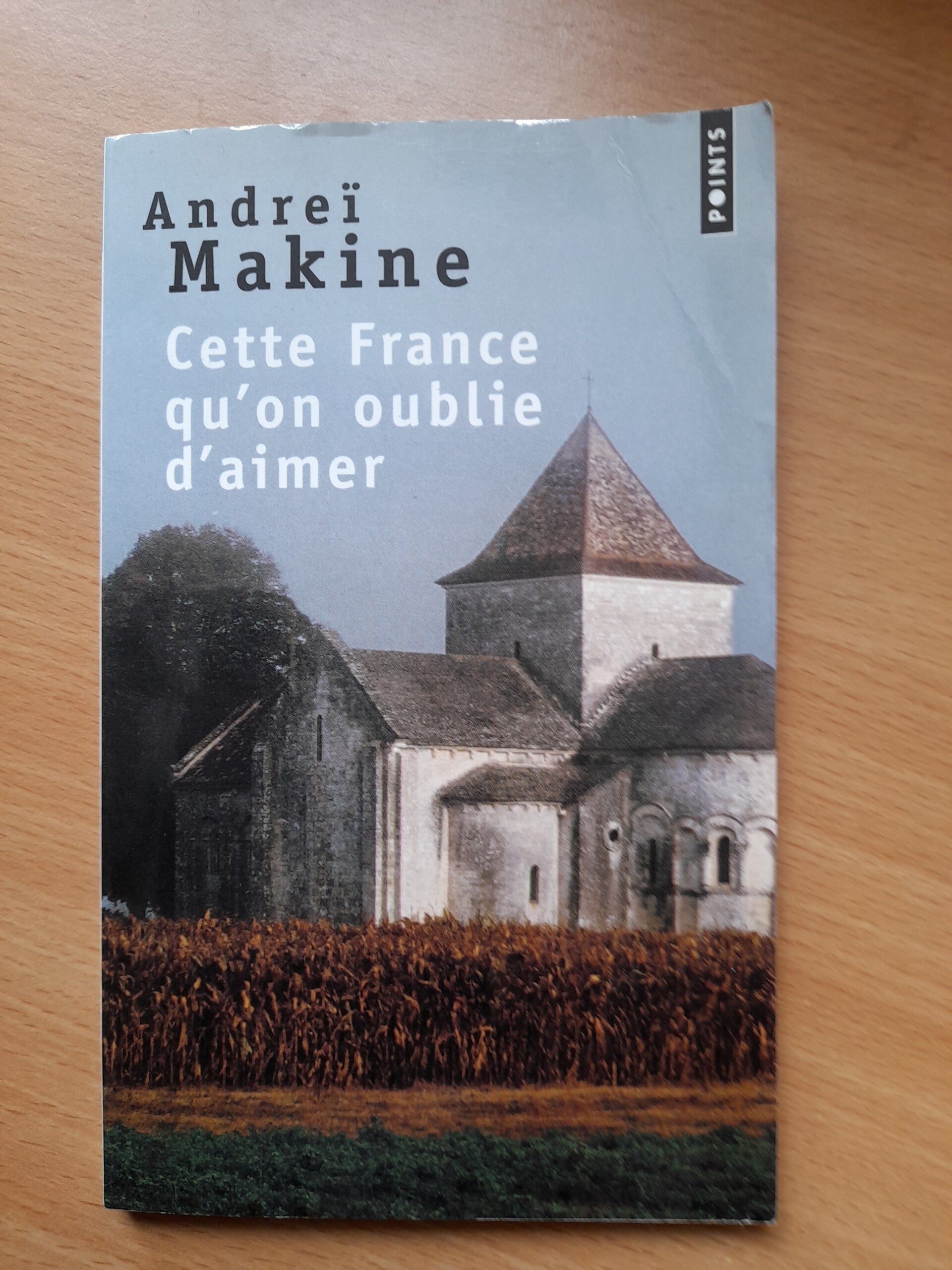 Cette France qu'on oublie d'aimer- Andreï Makine -points - 2010