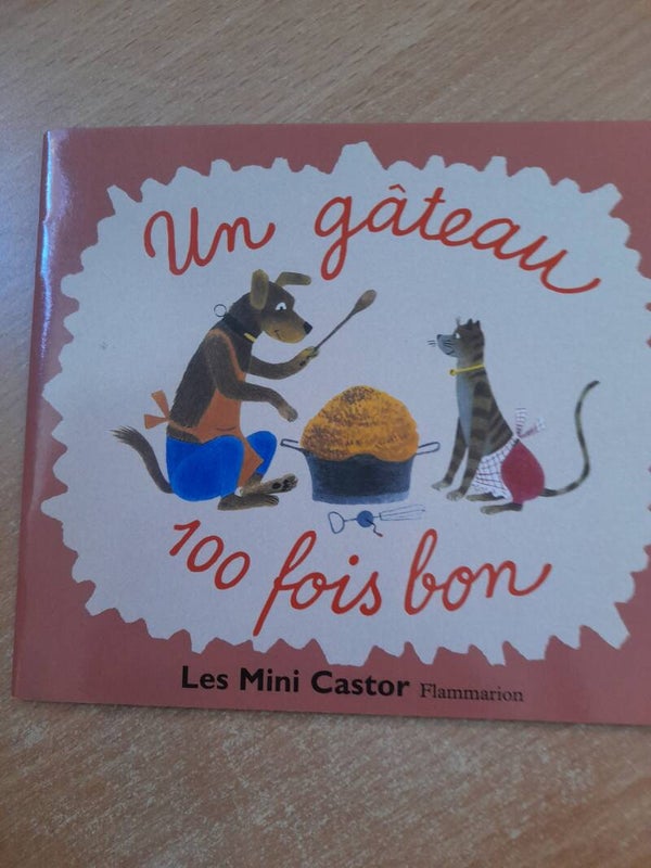 Un gâteau 100 fois bon - J. Capek et M. Chevalier - Père castor flammarion -2004 Tchèque