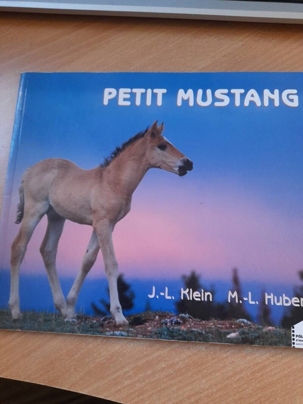 Petit mustang -J.L. Klein et M.L. Hubert - Pôle d'images éditons -2003