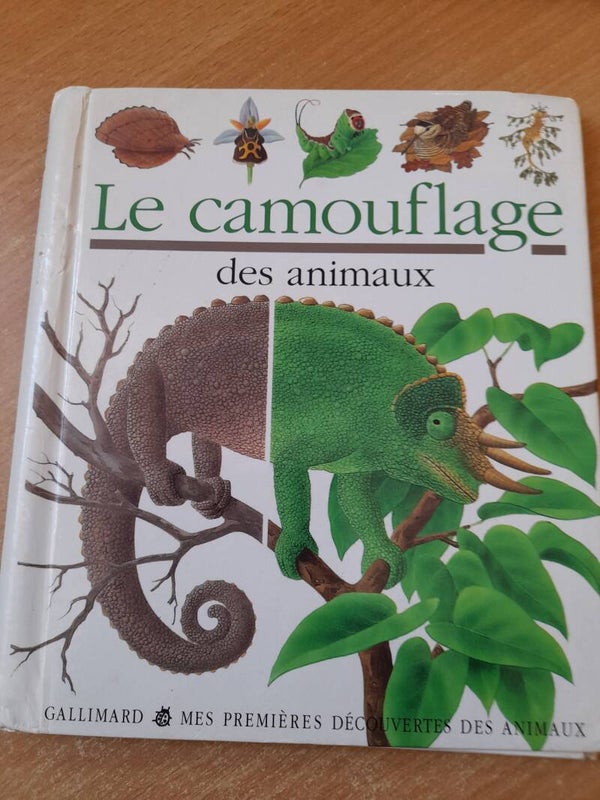 Mes premières découvertes : Le camouflage des animaux - Gallimard - 2000