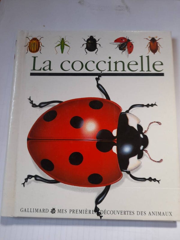 Mes premières découvertes : La coccinelle- Gallimard - 2003