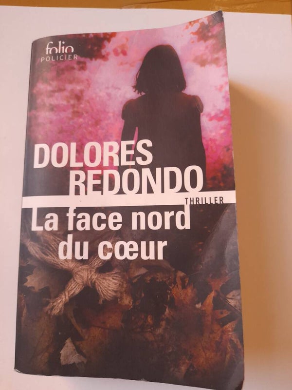 La face nord du cœur  - Dolores Redondo - Folio- 2022 Espagne
