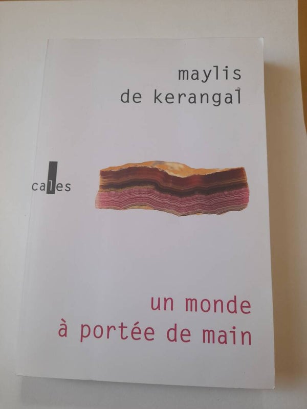 Un monde à portée de main - Maylis de Kerangal - Verticales -2018