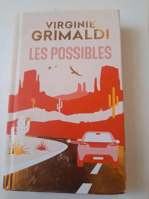Les possibles - Virginie Grimaldi -Fayard  - 2024