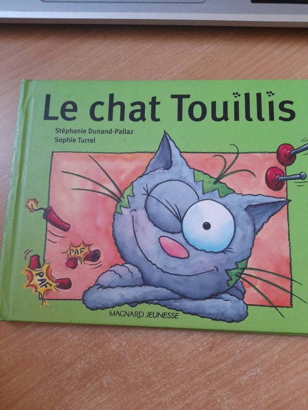 Le chat Touillis - Stephanie Dunand-Pallaz et sophie Turrell - MAgnard jeunesse -2003