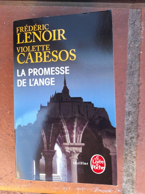 la promesse de l'ange - frédéric Lenoir et violette Cabesos -Le livre de poche - 2015