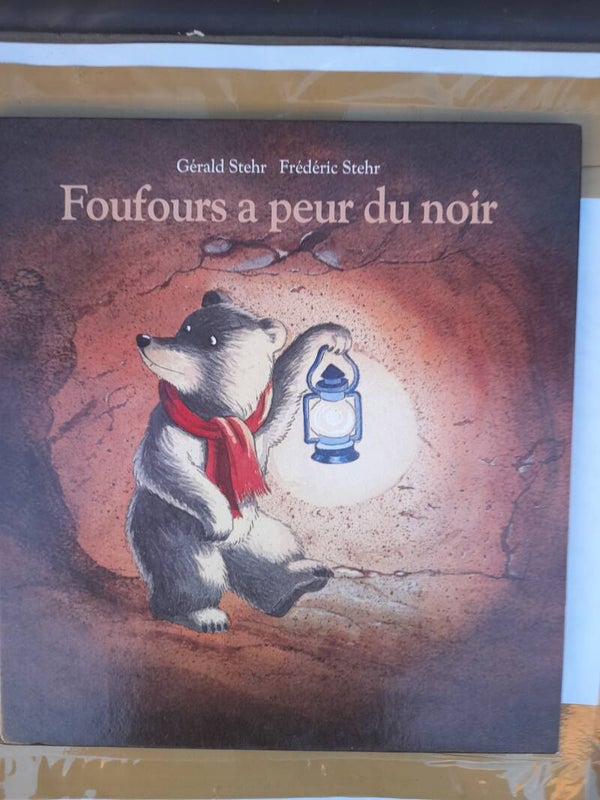 Foufours a peur du noir - Gerald Stehr et  Frédéric Stehr - Ecole des loisirs - 1999
