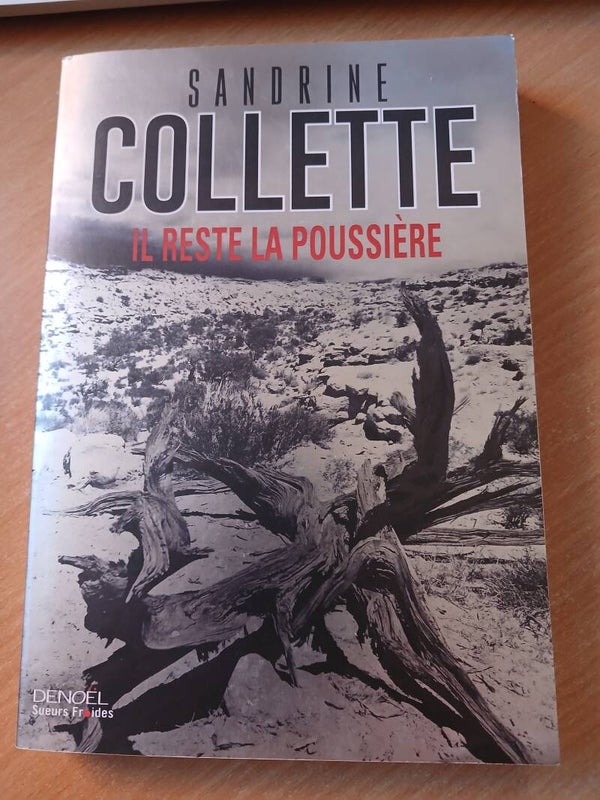 Il reste la poussière - Sandrine Collette - Denoël - 2016