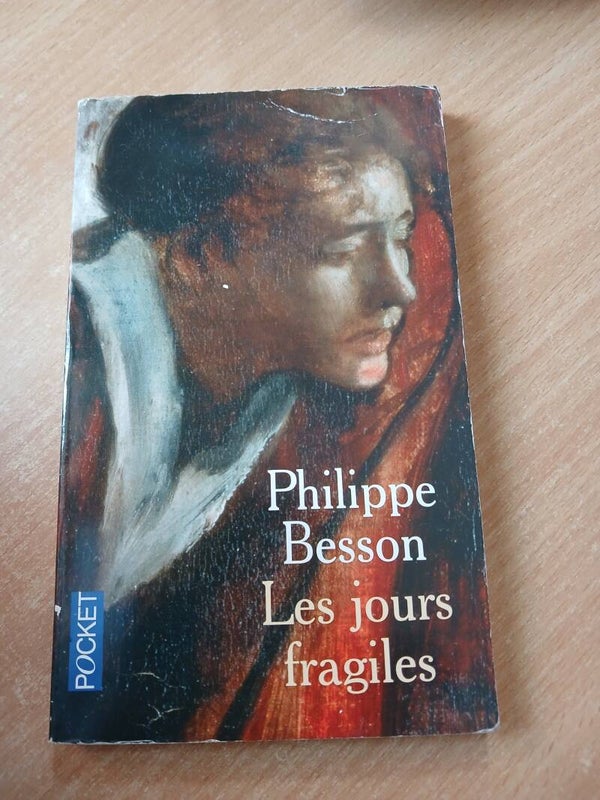 Les jours fragiles-  Philippe Besson- Pocket - 2005