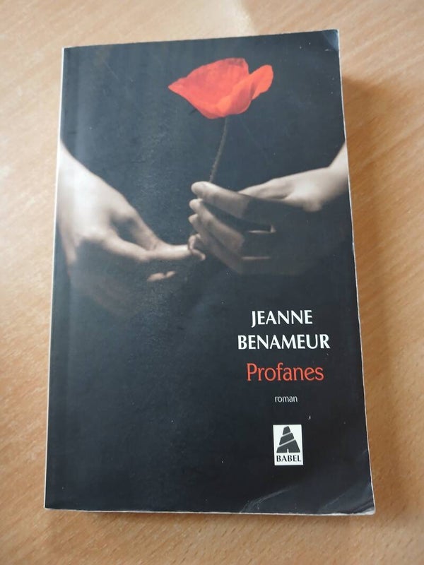 Profanes - Jeanne Benameur -Babel - 2014