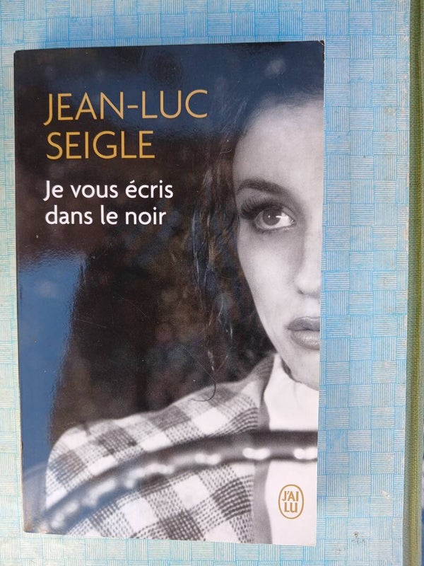 Je vous écrit dans le noir - Jean-luc Seigle - J'ai lu - 2015