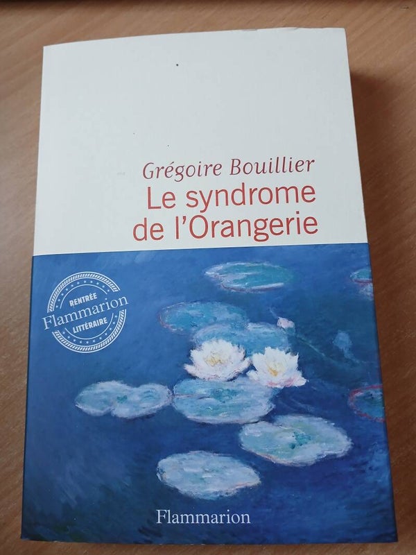 Le syndrome de l'Orangerie - Grégoire Bouillier - Flammarion -2024